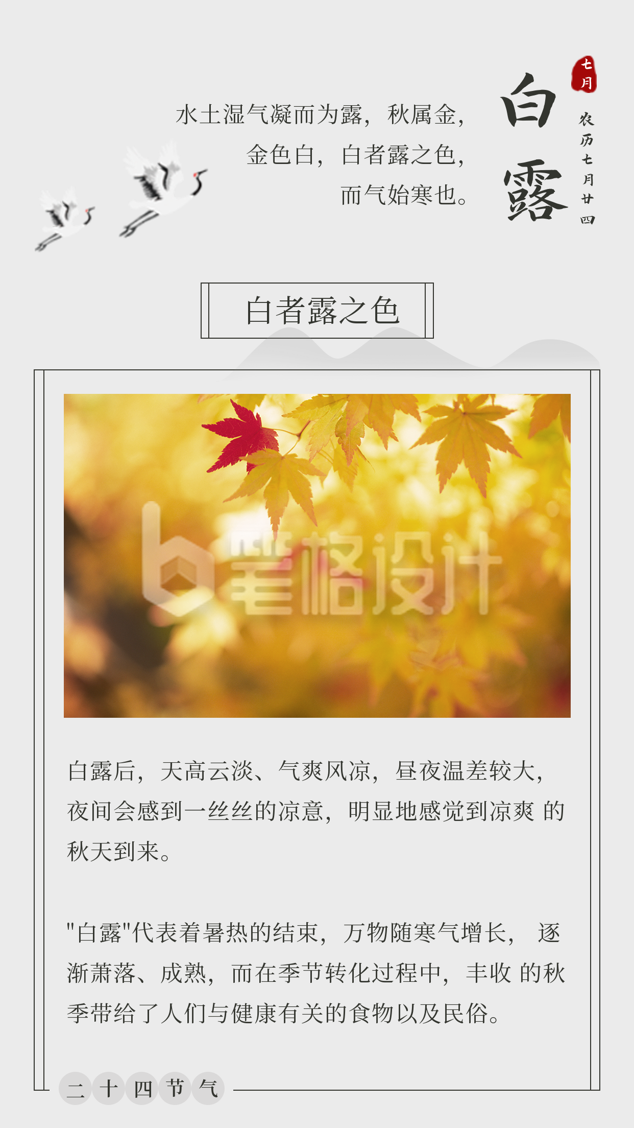 中国风水墨山水白鹭二十四节气白露竖版配图