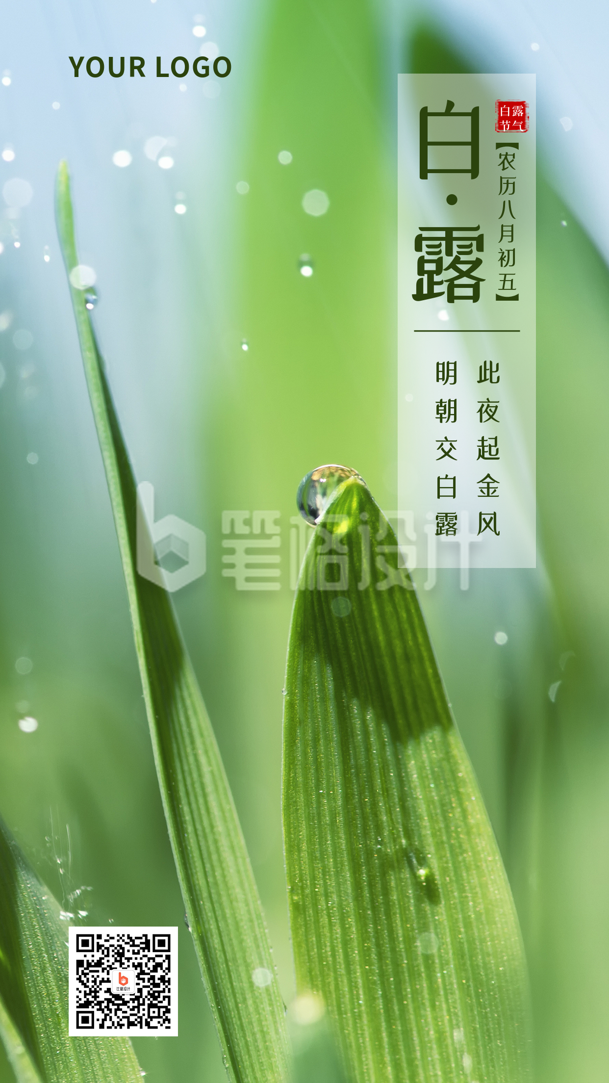 白露节气简约实景手机海报