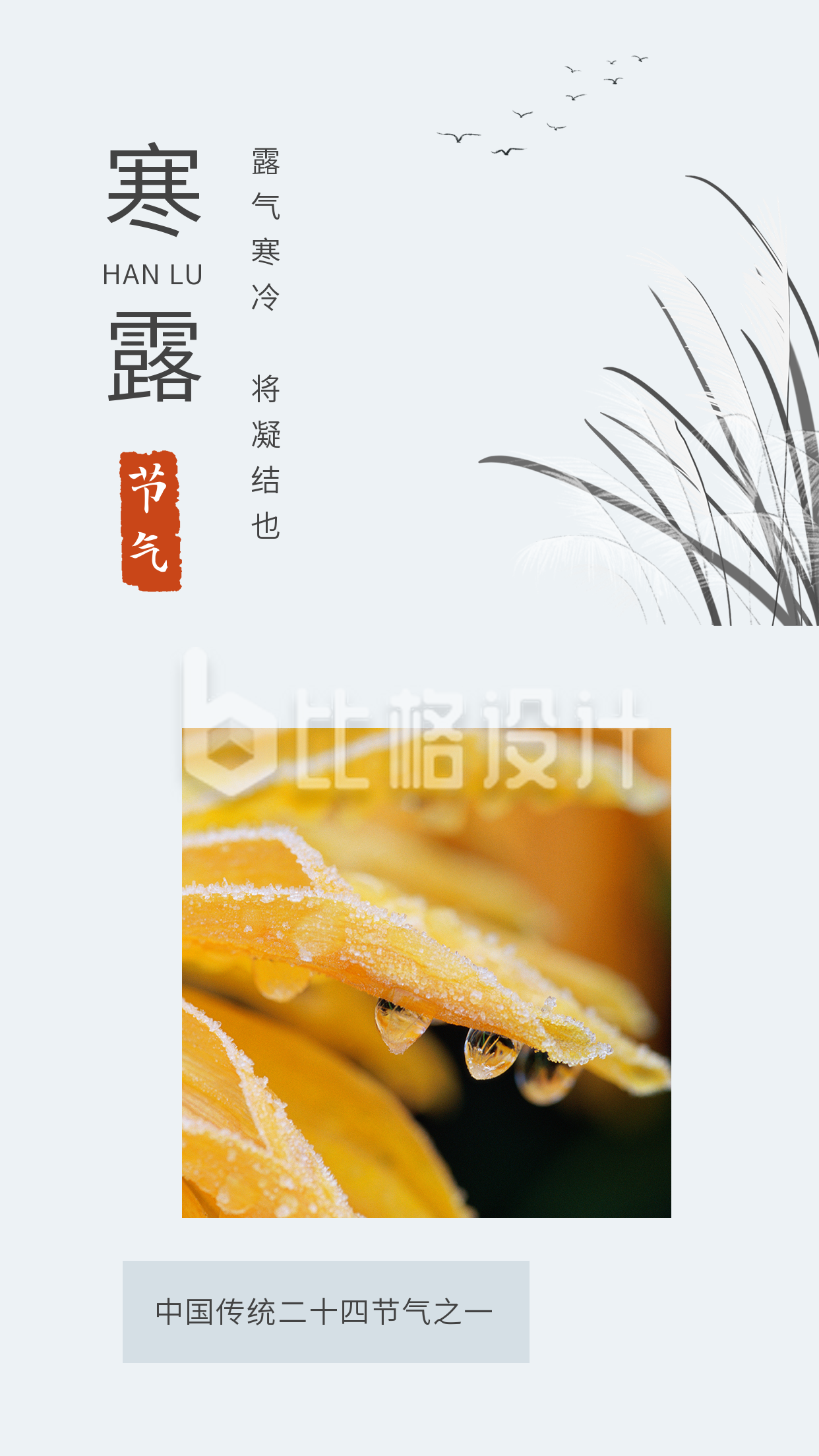 手绘中国风水墨二十四节气寒露白露竖版配图