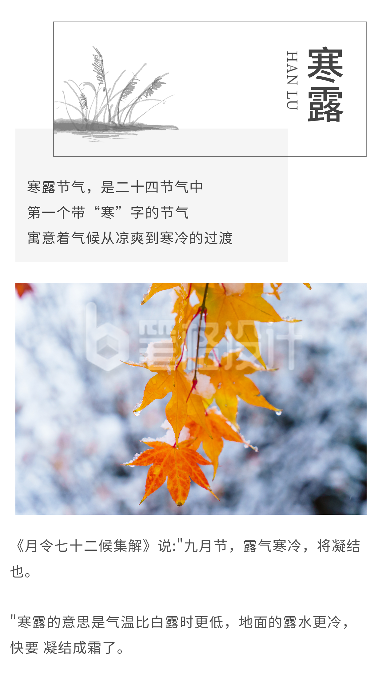 中国风水墨二十四节气寒露白露竖版配图 中国风水墨二十四节气寒露白露竖版配图