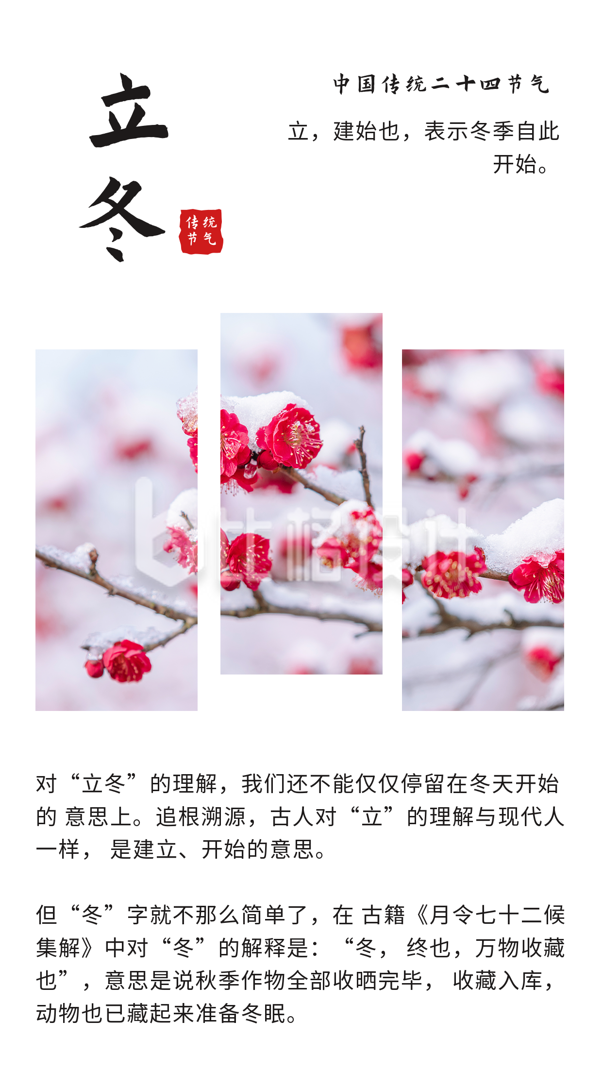 简约中国风二十四节气立冬竖版配图