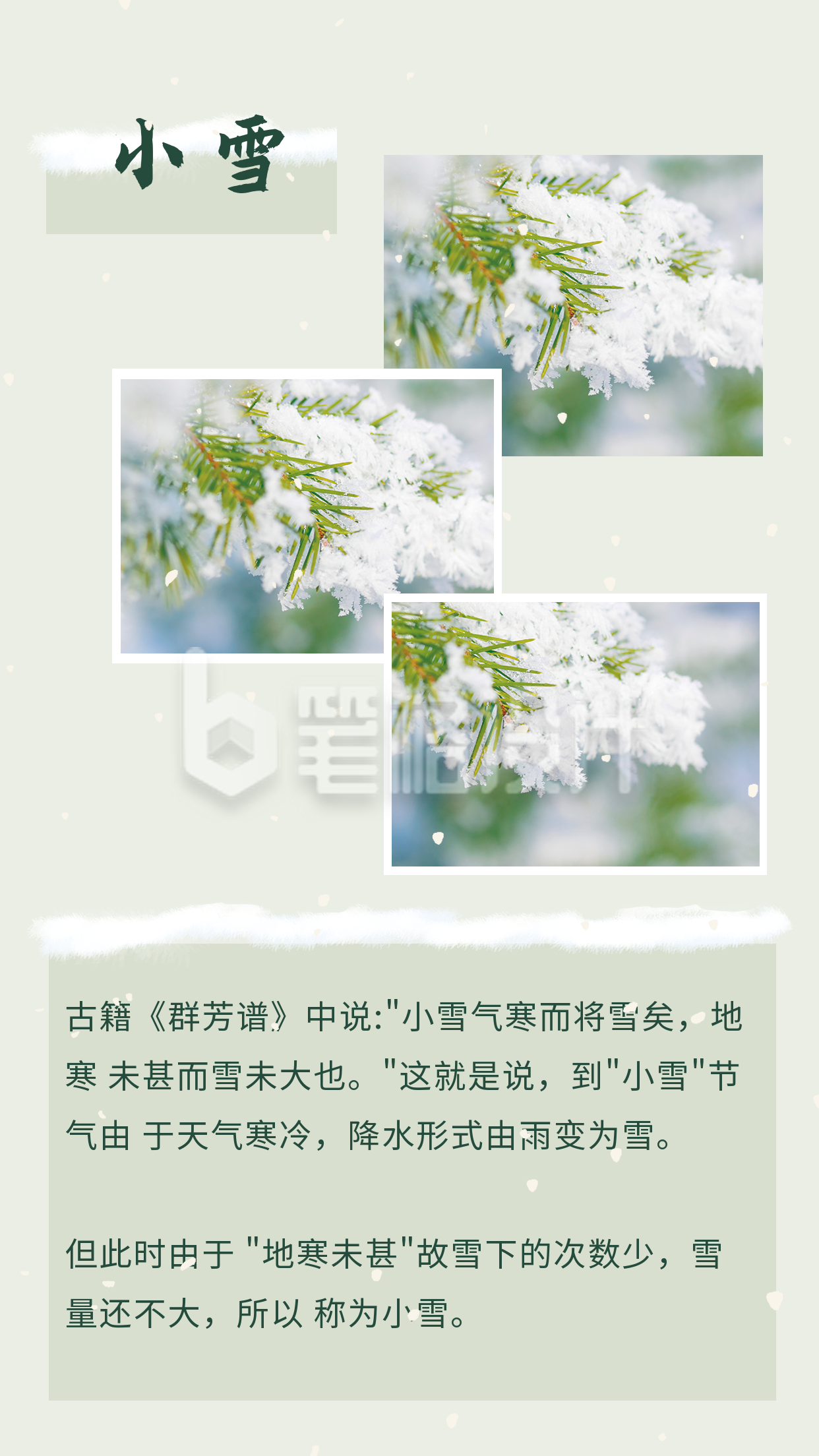 手绘冬季小雪节气雪景竖版配图