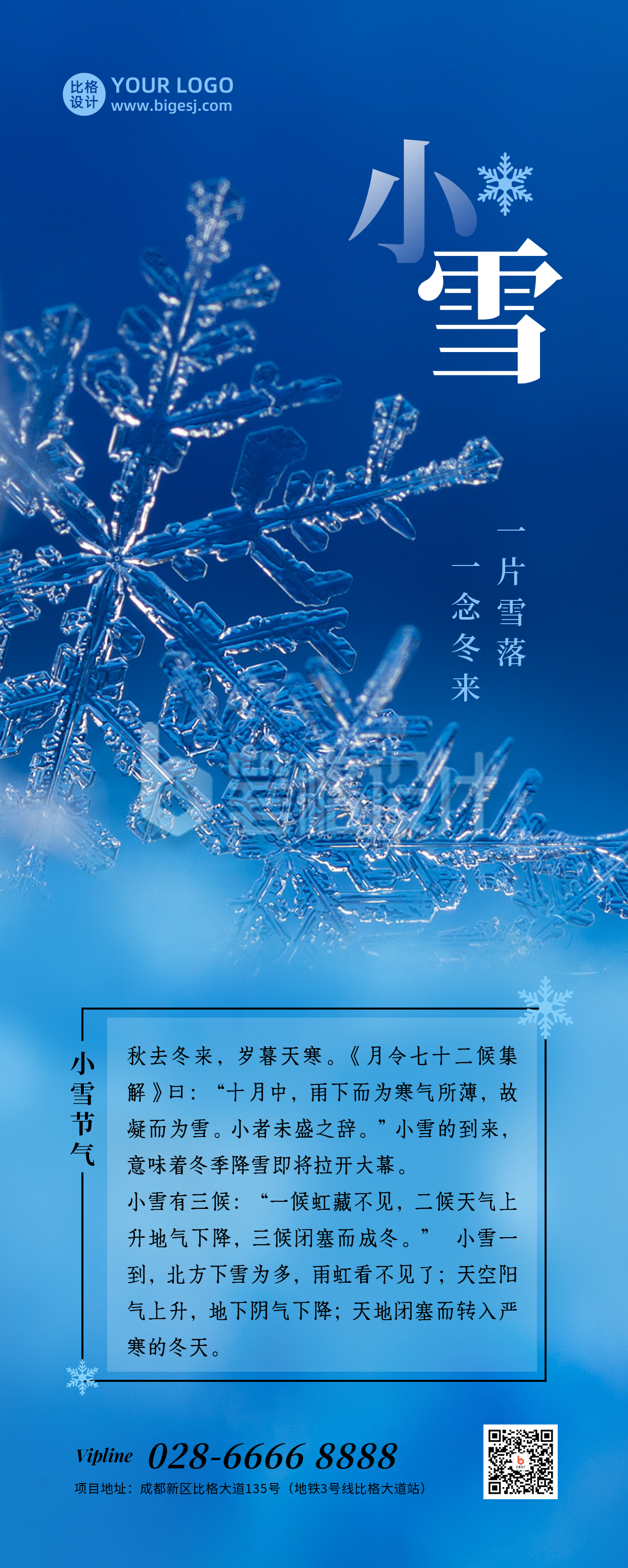 小雪大雪节气冬季雪花特写实景长图海报