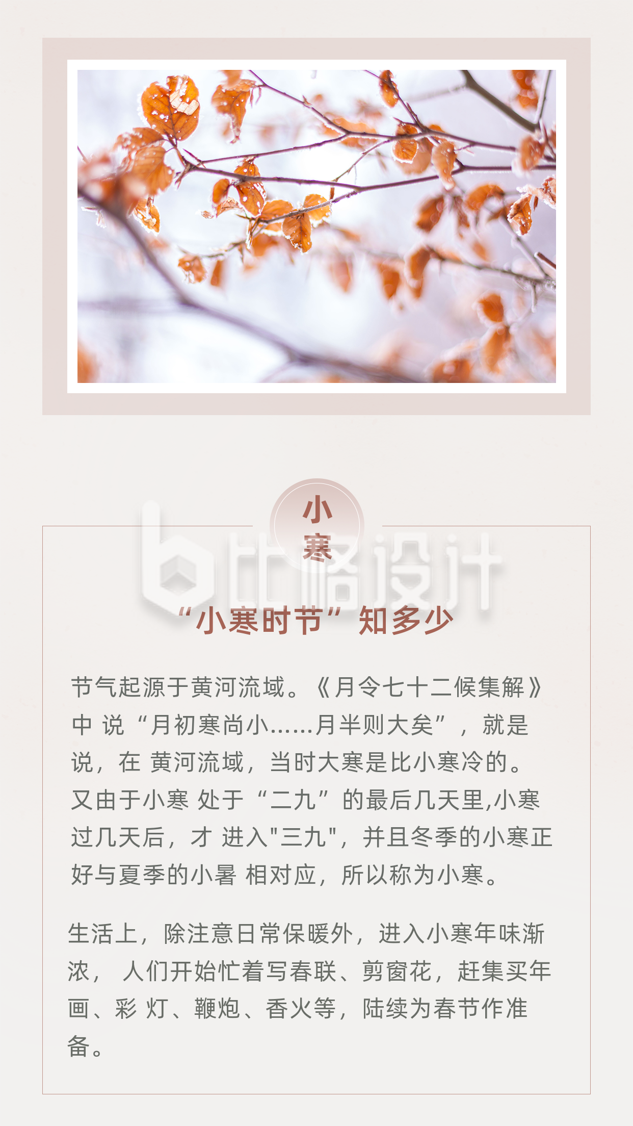 简约中国传统二十四节气小寒竖版配图