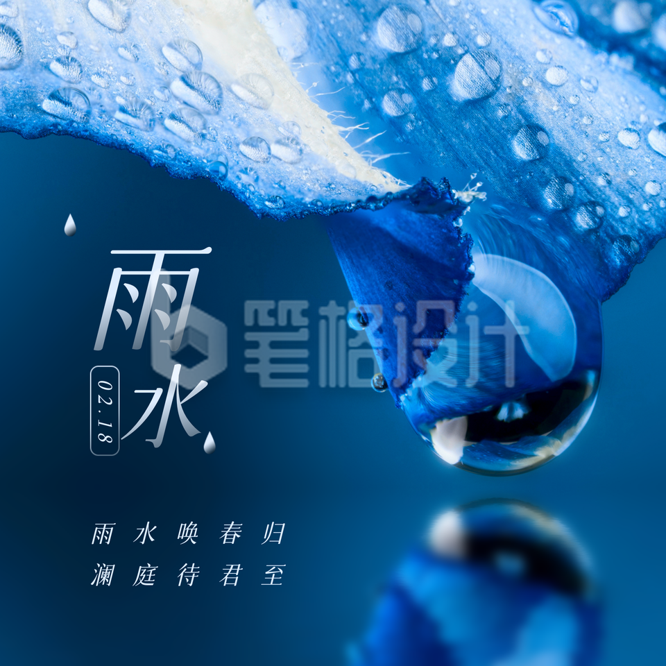 简约实景雨水节气祝福方形海报