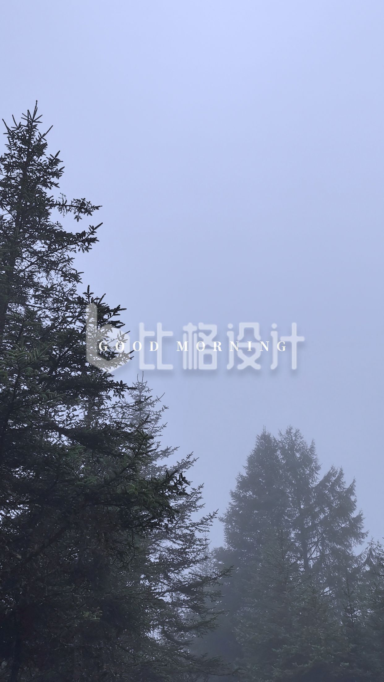 灰蓝色唯美意境摄影美图秋冬雾霭松树手机壁纸