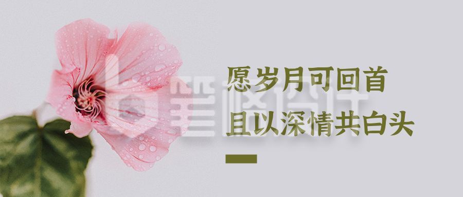 文艺清新粉色花朵日签话题励志首图