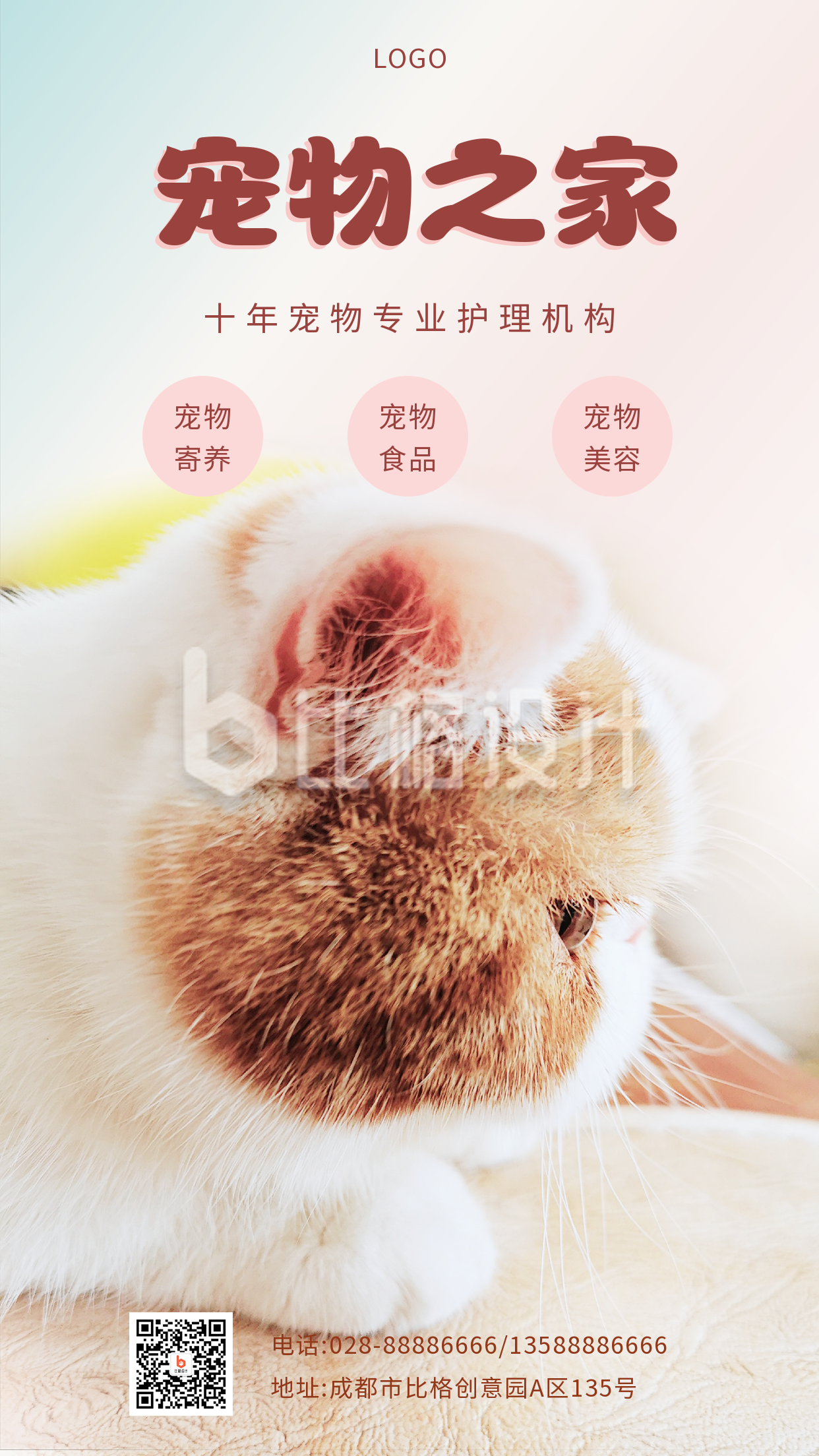 粉色可爱猫咪侧颜宠物猫咖趣味手机海报