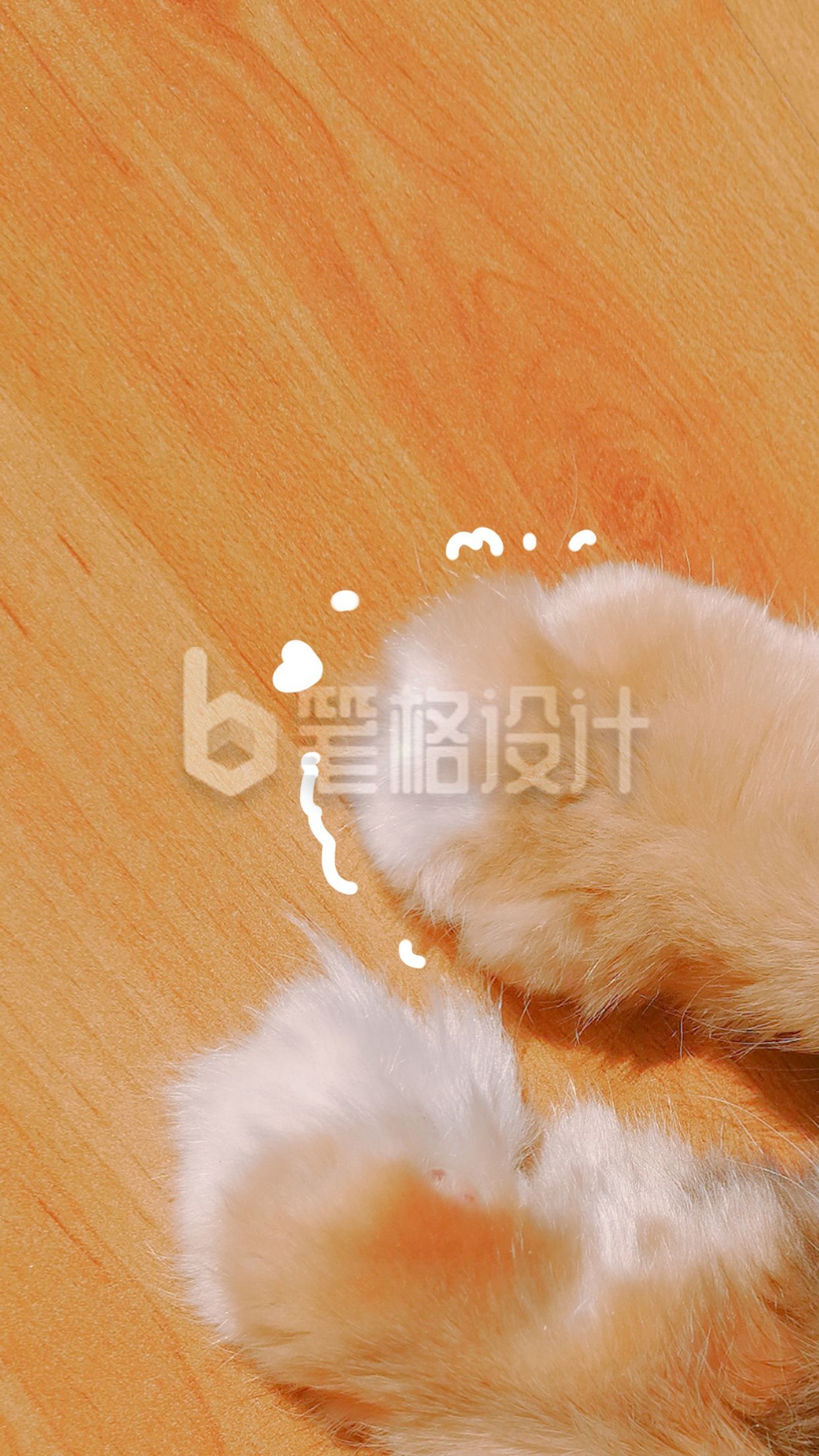 可爱猫咪爪子手机壁纸