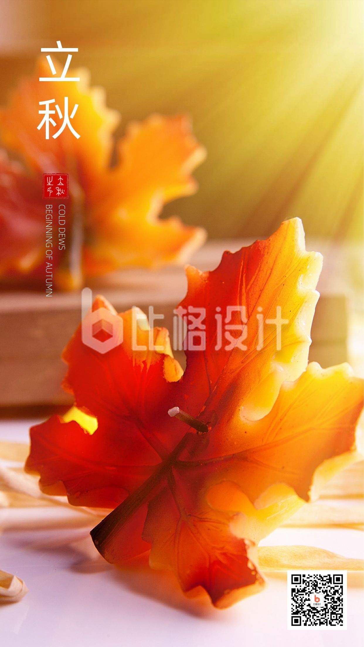 红色枫叶二十四节气立秋