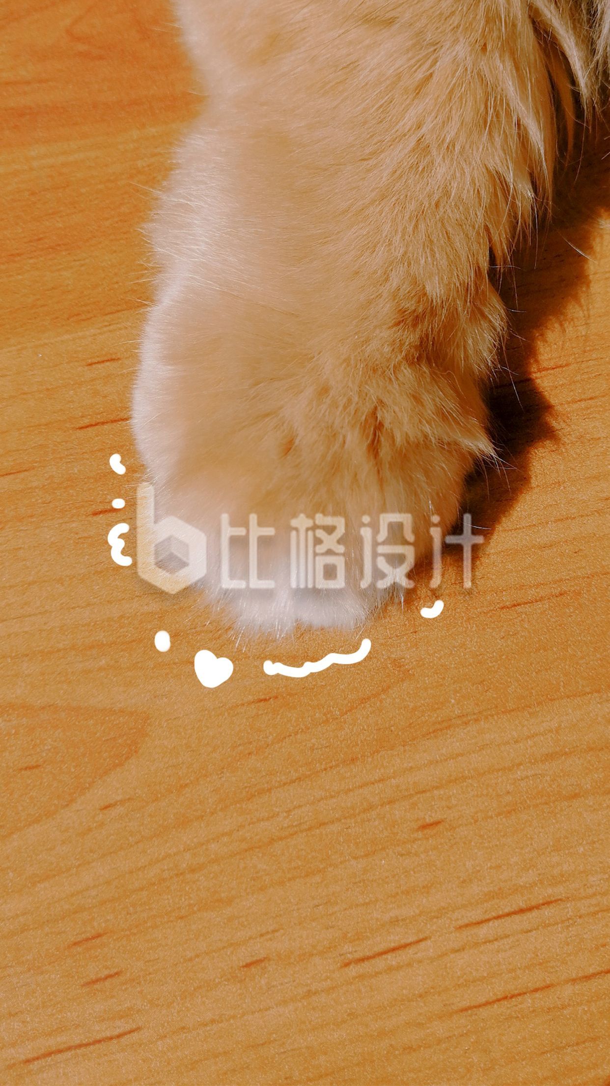 可爱猫咪爪子手机壁纸