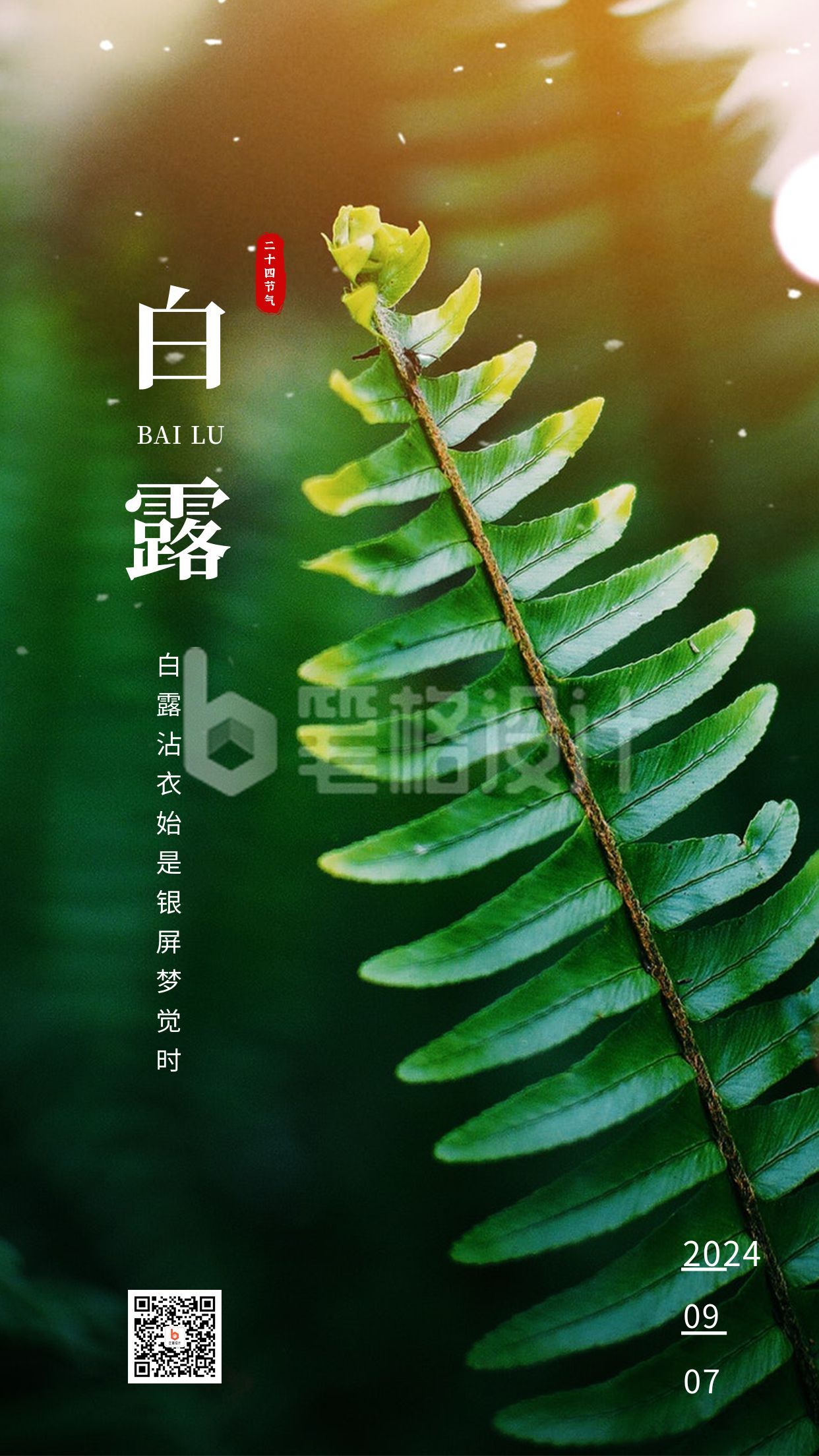 白露节气简约实景手机海报