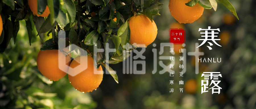 二十四节气寒露橙色橘子自然实景公众号首图