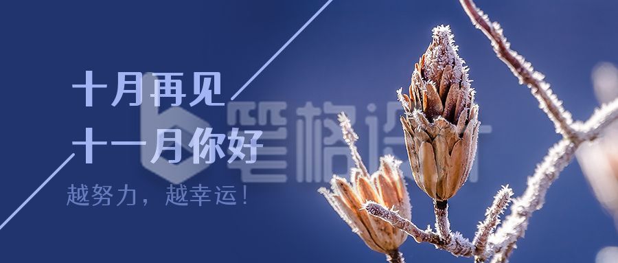 秋冬霜雪实景照片十一月你好问候语正能量公众号首图