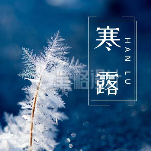 深蓝色小清新唯美雪花二十四节气寒露公众号次图