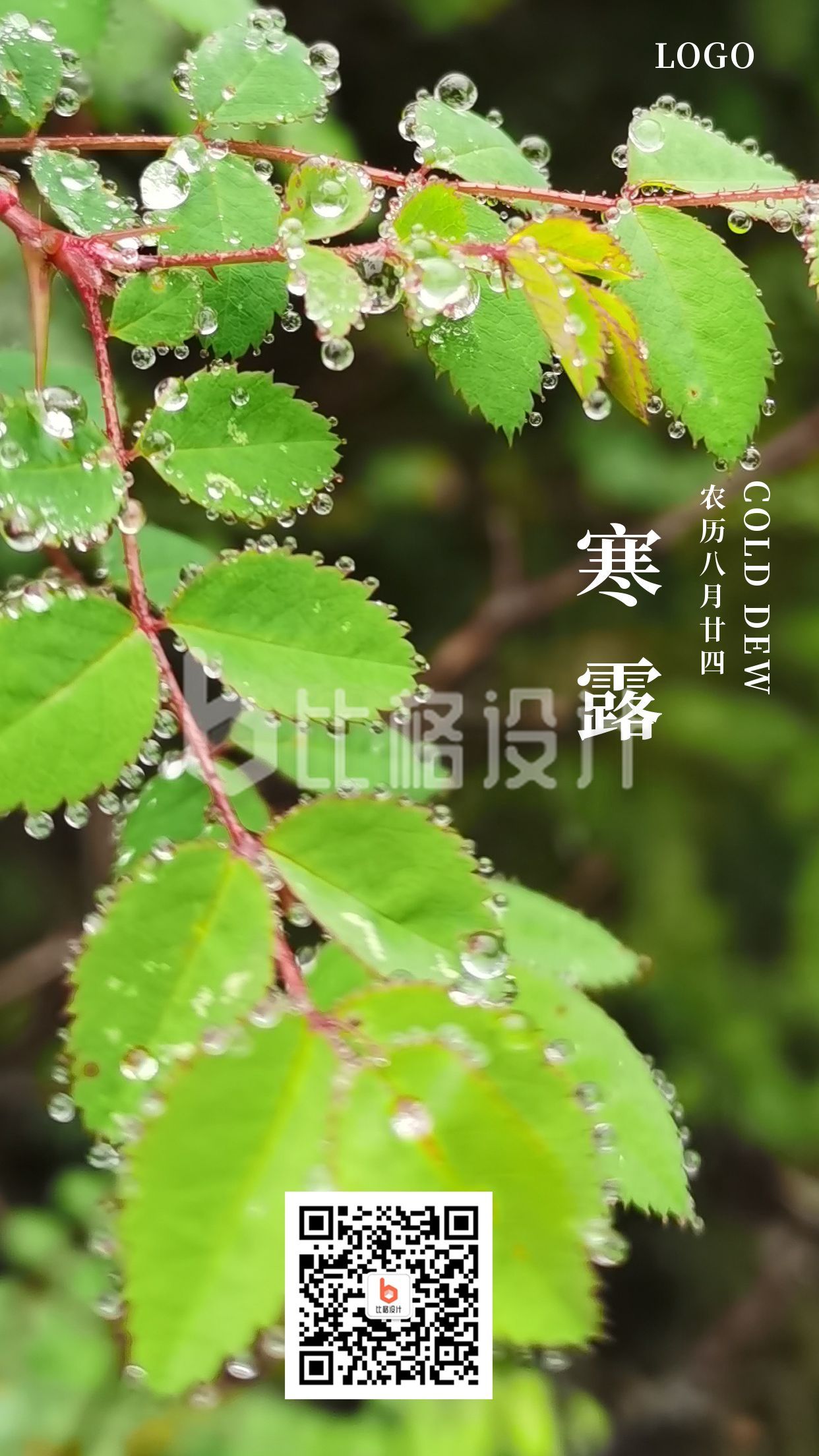绿色小清新水珠叶子二十四节气寒露手机海报