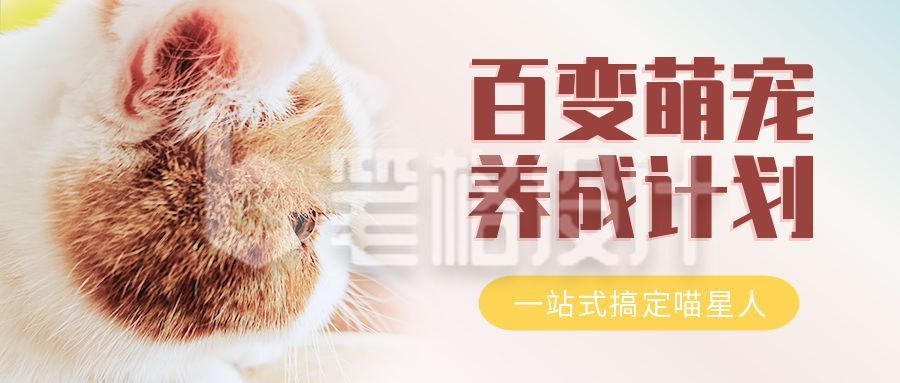 粉色可爱猫咪侧颜宠物猫咖公众号首图