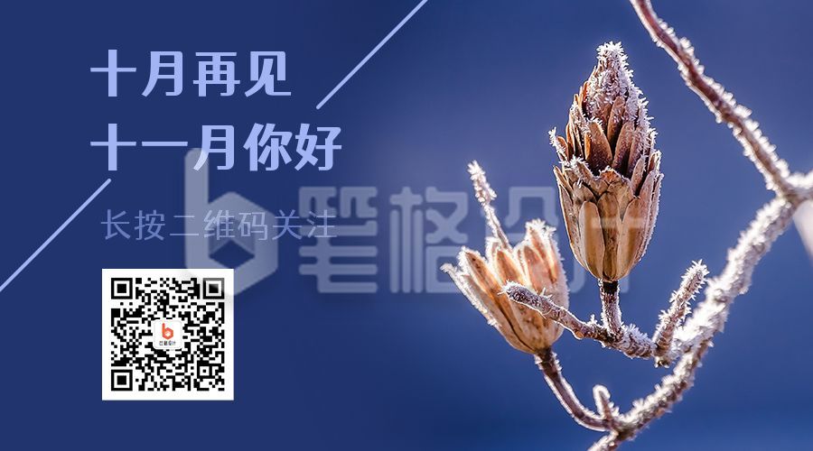 秋冬霜雪实景照片十一月你好问候语正能量公众号二维码