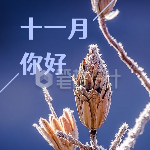 秋冬霜雪实景照片十一月你好问候语正能量公众号次图