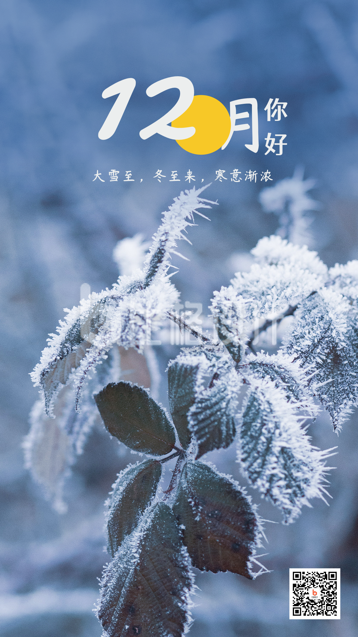 12月你好月初问候冬季霜雪实景手机海报
