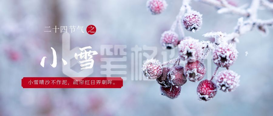 简约实景二十四节气小雪公众号首图