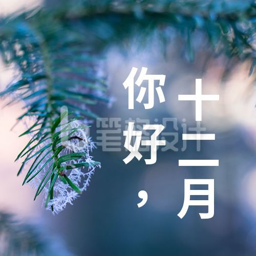 实景你好十二月早安问候公众号次图