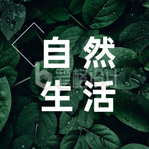 绿色植物清新实景读物生活公众号次图