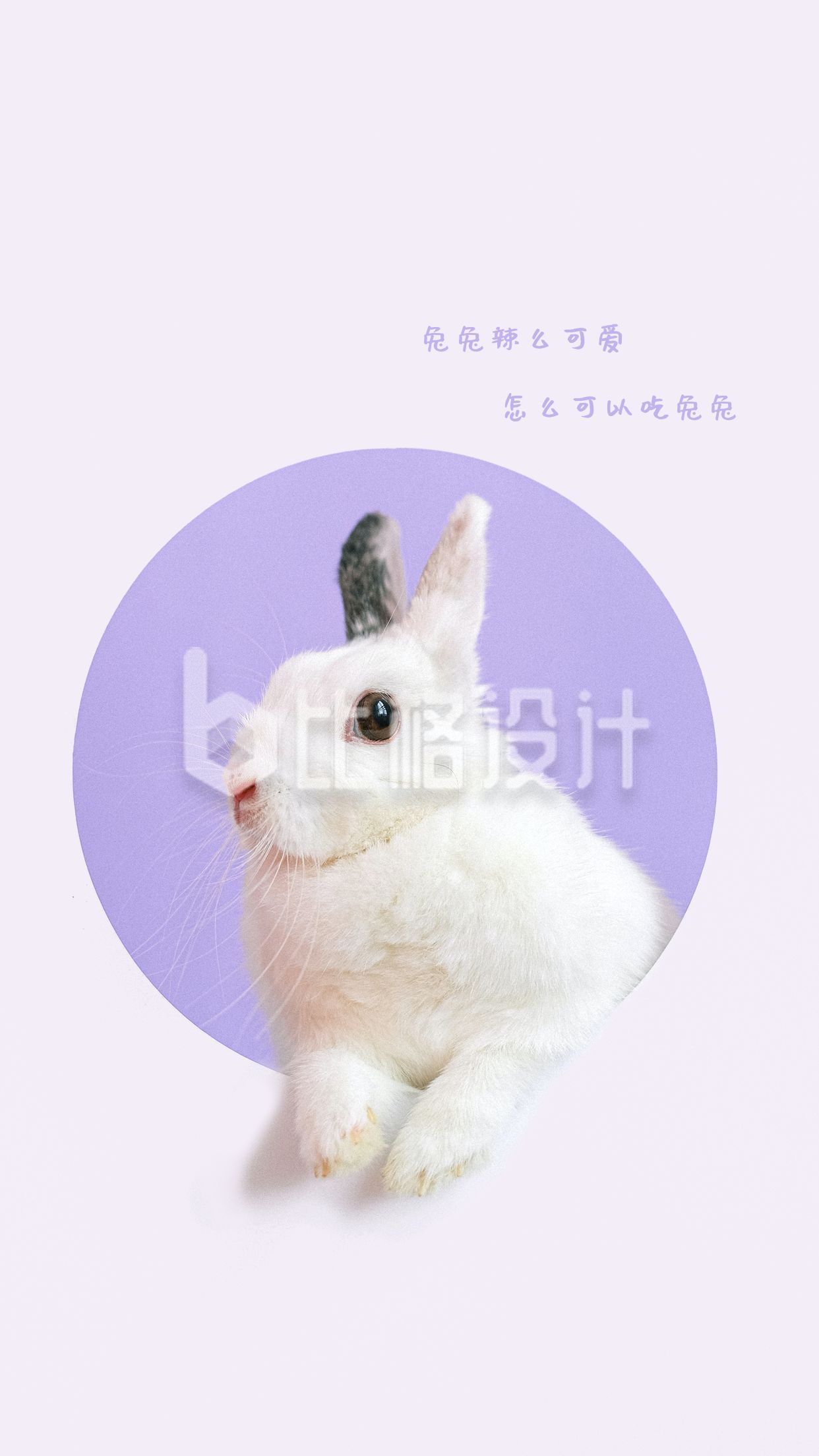 紫色背景可爱小兔子手机壁纸
