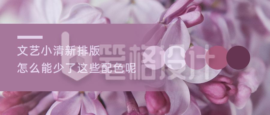 紫色配色方案文艺小清新排版公众号首图