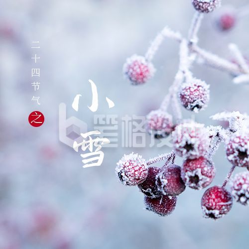 简约实景二十四节气小雪公众号次图