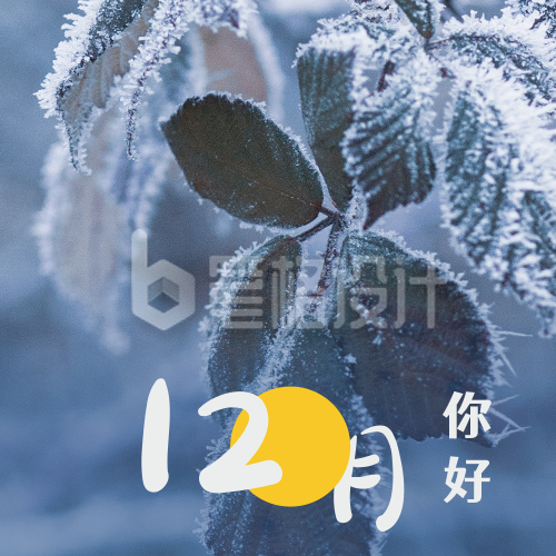 12月你好月初问候冬季霜雪实景公众号次图