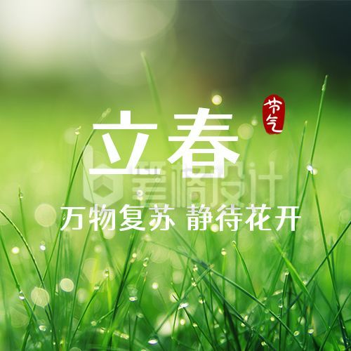 简约清新实景小草二十四节气立春公众号次图