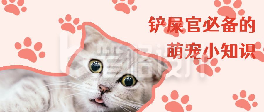 铲屎官必备的养猫知识科普小技巧趣味可爱猫咪公众号首图