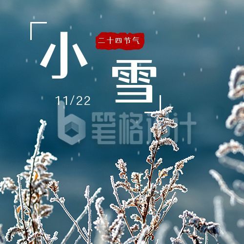 简约实景枯草冬天二十四节气小雪公众号次图