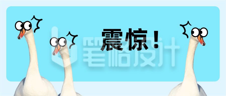 动物震惊表情包创意趣味八卦话题公众号首图