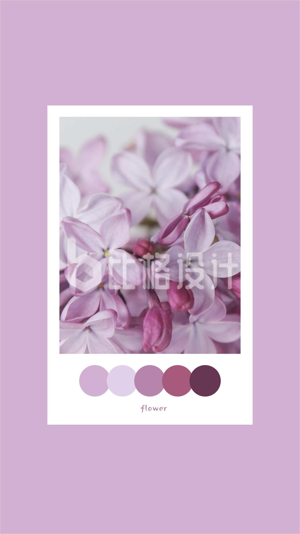 紫色配色方案文艺小清新排版手机壁纸