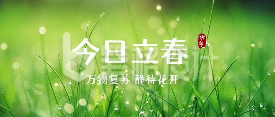 简约清新实景小草二十四节气立春公众号首图