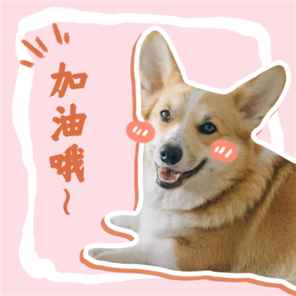 加油正能量汪星人可爱柯基表情包公众号次图