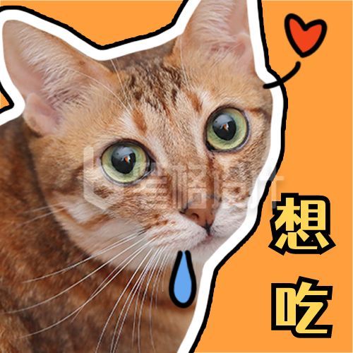 萌宠可爱猫咪好吃表情包趣味公众号次图