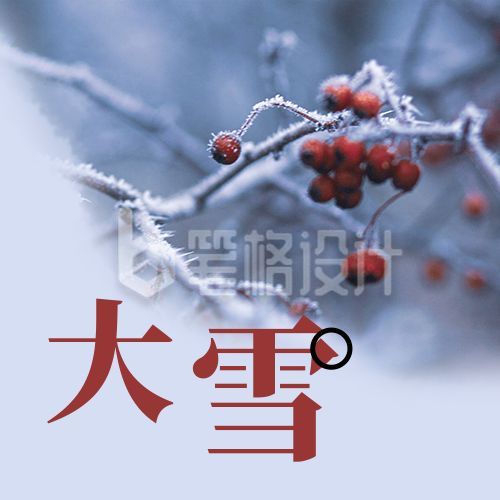 二十四节气大雪冬季霜雪浆果实景日签公众号次图