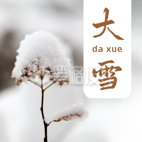 二十四节气大雪白雪枯草实景简约公众号次图