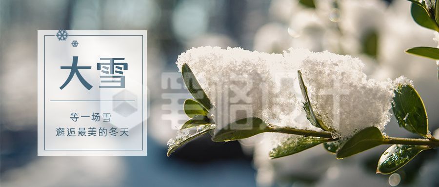 实景积雪二十四节气大雪公众号首图