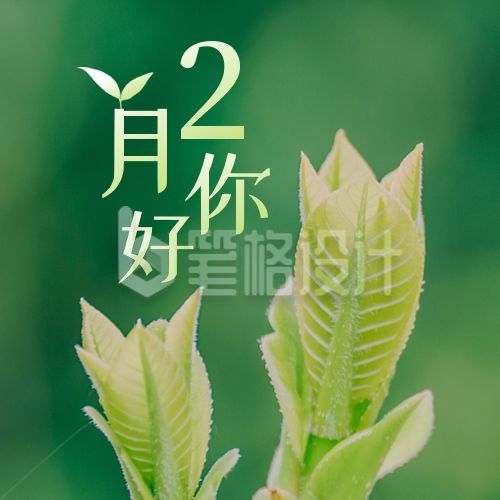 2月你好春天祝福实景植物简约公众号次图