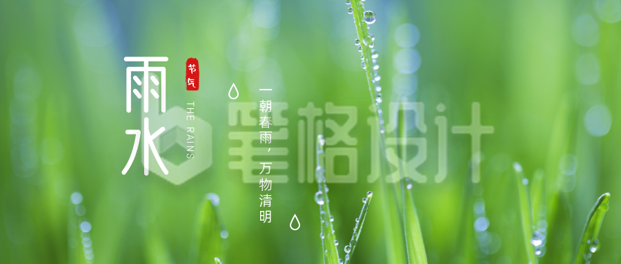 雨水节气叶子露珠实景清新公众号首图