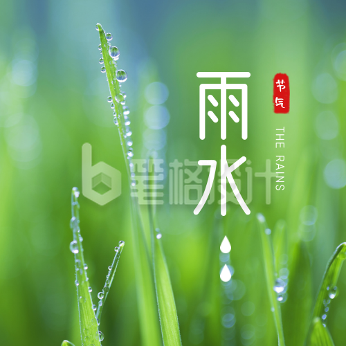 雨水节气叶子露珠实景清新公众号次图