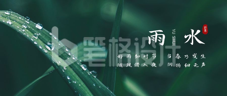 雨水节气实景露珠公众号首图