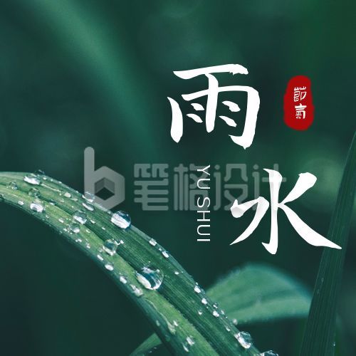 雨水节气实景露珠公众号次图