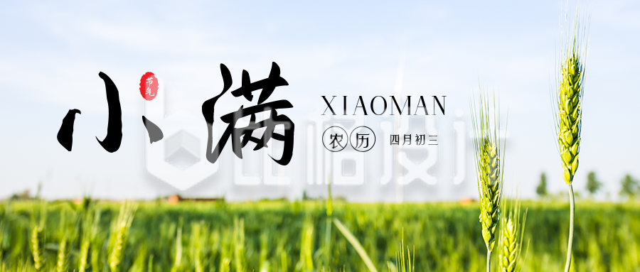 中国二十四节气小满夏季水稻实景公众号封面首图