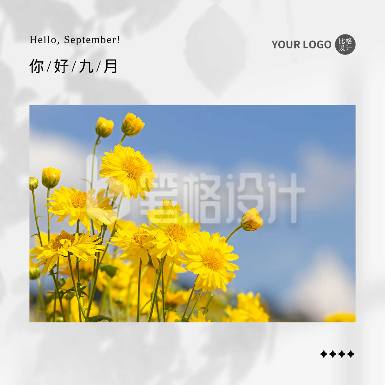你好九月实景菊花日签正能量方形海报 你好九月实景菊花日签正能量方形海报