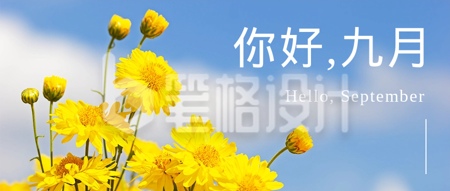 你好九月实景菊花日签正能量公众号首图